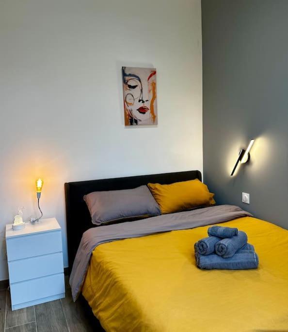 Chic Renovated 2 Bedroom Entire Apartment Or Only Private Rooms In Liberation In Nice With Garage On Demand, Ac, Wi-Fi And Tram Access Kültér fotó