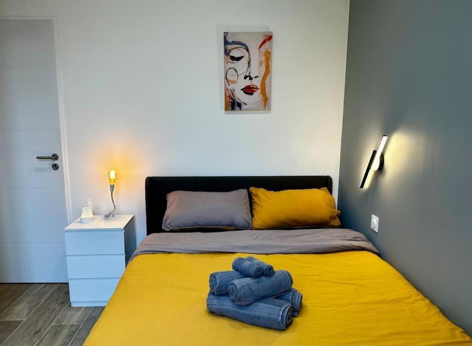 Chic Renovated 2 Bedroom Entire Apartment Or Only Private Rooms In Liberation In Nice With Garage On Demand, Ac, Wi-Fi And Tram Access Kültér fotó