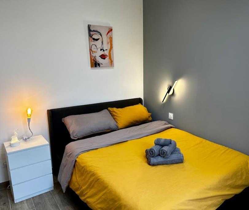 Chic Renovated 2 Bedroom Entire Apartment Or Only Private Rooms In Liberation In Nice With Garage On Demand, Ac, Wi-Fi And Tram Access Kültér fotó